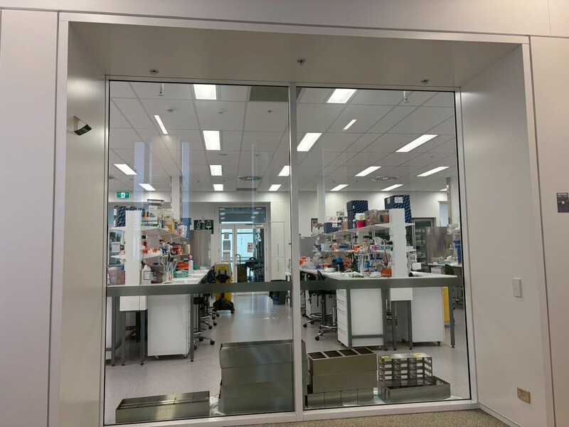 Short-term research internship in Storr Liver Centre(114.09.19-10.06)Image