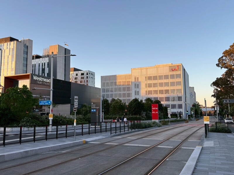 Short-term research internship in Storr Liver Centre(114.09.19-10.06)Image