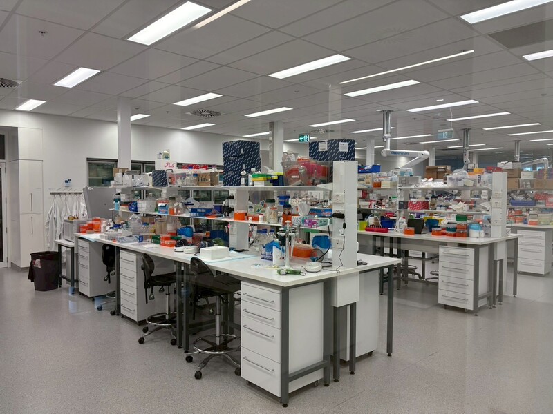 Short-term research internship in Storr Liver Centre(114.09.19-10.06)Image