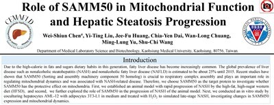 Wei-Shiun Chen圖片